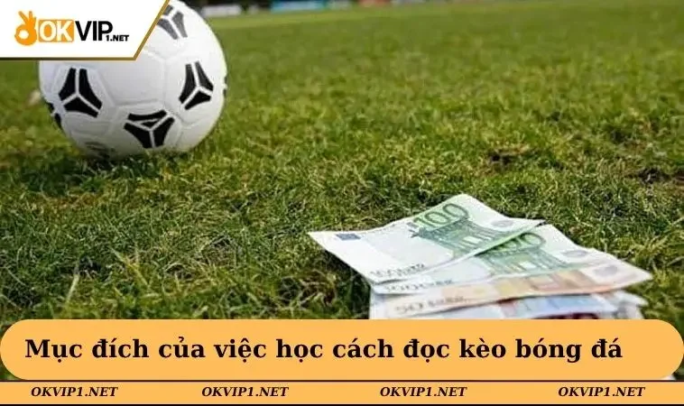 Mục đích của việc học cách đọc kèo bóng đá