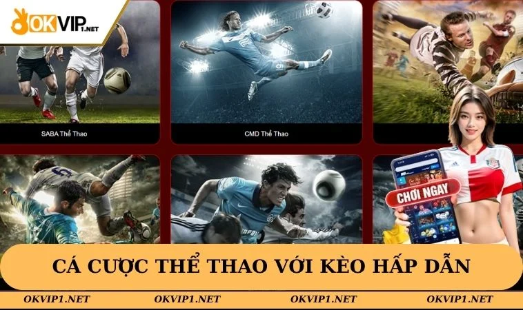 Không gian cá cược thể thao với kèo hiển thị hấp dẫn