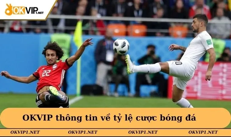 OKVIP thông tin về tỷ lệ cược bóng đá